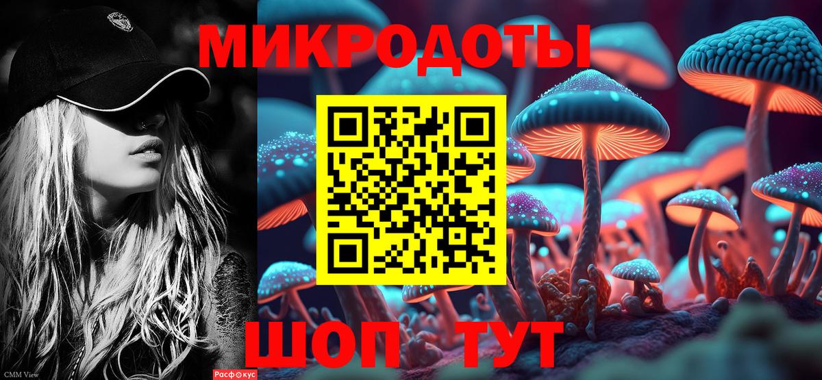 Шебекино  купить наркоту  Псилоцибиновые грибы ЛСД  Вход с VPN  Галлюциногенные грибы мицелий 